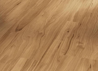 Ламинат Parador Basic Plus 400 1426505 Яблоня Янтарная фото 1 | FLOORDEALER